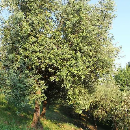Agriturismo Al Monticello Çiftlik konaklama *