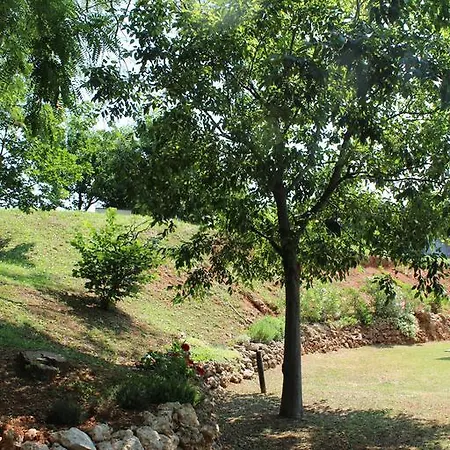 Agriturismo Al Monticello Çiftlik konaklama