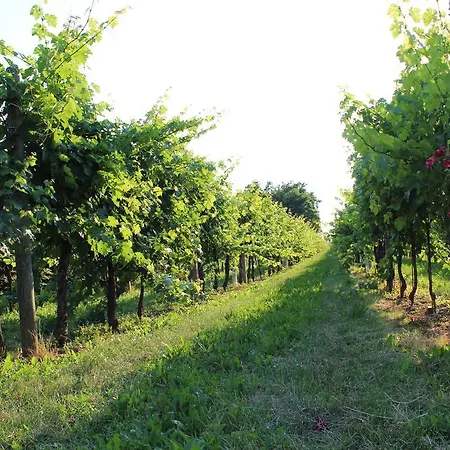 Agriturismo Al Monticello בית חווה *